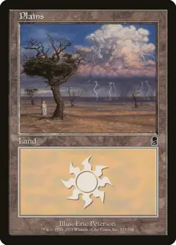 Plains (333) Odyssey PLD Basic Land MAGIC THE GATHERING MTG CARD ABUGames - Image 1