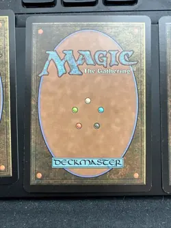 Bushi Tenderfoot X4 Champions Of Kamigawa Ex Condition See Pics Front/Back - Image 4