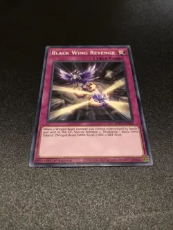 Yugioh! Black Wing Revenge - DLCS-EN033 - Common - 1st Edition Near Mint, Englis - Image 1