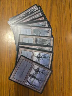 Magic The Gathering Basic Land Lot 14 Swamp + Snow Covered - Image 1