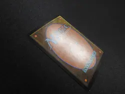 Monkey Cage FOIL HP/POOR [Mercadian Masques] Mtg Magic Free Tracking! - Image 5