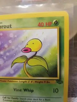 Bellsprout 49/64 Jungle Unlimited WOTC Pokemon Card Near Mint - Mint - Image 3
