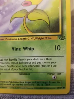 Bellsprout 49/64 Jungle Unlimited WOTC Pokemon Card Near Mint - Mint - Image 4
