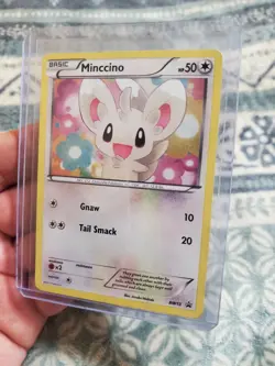 LP holo Minccino BW13 Black Star Promo Holo Pokemon TCG Card - Image 2