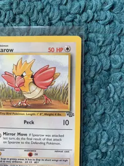 1st Edition SPEAROW 62/64 Jungle Set - Pokemon WOTC Vintage Card - LP - Image 5