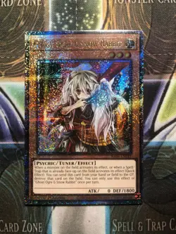 *** GHOST OGRE & SNOW RABBIT *** QUARTER CENTURY SECRET RARE RA04-EN015 YUGIOH! - Image 1