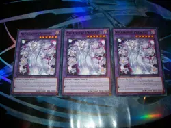 3x Necroquip Princess 1st Edition Common INFO-EN085 Yu-Gi-Oh! - Image 1