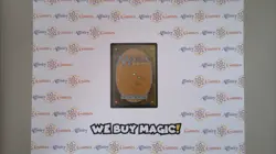 MTG | Authority of the Consuls | Aether Revolt | Regular | Light Played | Korean - Image 2