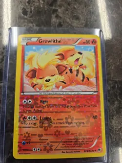 Pokemon TCG Growlithe Holo Card Legendary Treasures Radiant Collection RC4/RC25 - Image 1