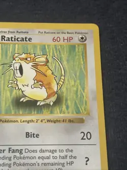 Pokemon TCG WoTC Raticate 040/102 Base Set (Shadowless) Vintage Lightly Played - Image 5