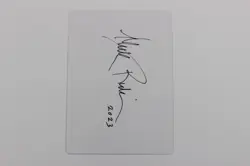 Phyrexian Plains - MTG Magic The Gathering - Blank Signed ARTIST PROOF - ONE - Image 2