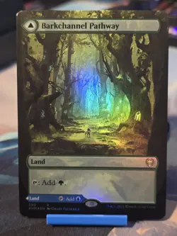 Barkchannel Pathway (Borderless) Kaldheim Foil - Image 1