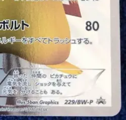 Pokemon Card Pikachu 15th Anniversary Promo 229/BW-P Japan - Image 5