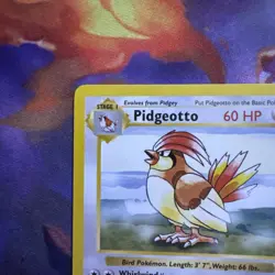 Pidgeotto - 22/102 - Pokemon Base Set Shadowless Rare Card WOTC NM - Image 3