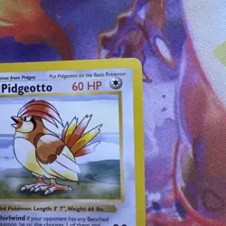 Pidgeotto - 22/102 - Pokemon Base Set Shadowless Rare Card WOTC NM - Image 4