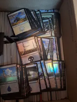 3000-4000 Magic the Gathering BASIC LAND Lot - Magic MTG many foils - Image 2