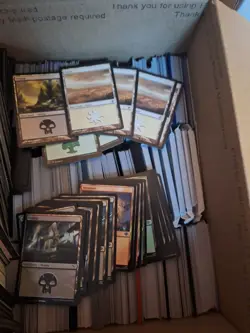 3000-4000 Magic the Gathering BASIC LAND Lot - Magic MTG many foils - Image 3