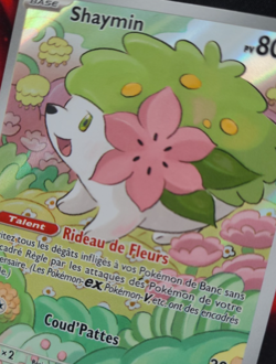 Pokemon Shaymin AR 185/182 EV10 Rivalites Destinees - Francais Fr - Image 3