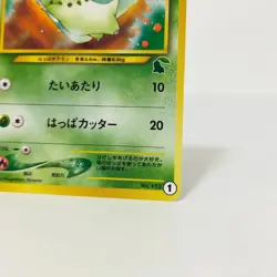 Pokemon cards Intro Pack Chikorita No.152 #1 Bayleef No.153 #24 lot Neo old Back - Image 4
