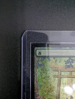 Forest (Tokyo Lands) (Foil Etched) Secret Lair Drop Foil mtg - Image 2