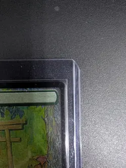 Forest (Tokyo Lands) (Foil Etched) Secret Lair Drop Foil mtg - Image 3