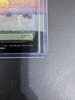 Forest (Tokyo Lands) (Foil Etched) Secret Lair Drop Foil mtg - Image 4