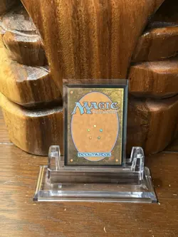 Flowering of the White Tree Foil English Lord of the Rings MTG NM Condition - Image 2