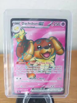 Dachsbun EX #160/142 [Ultra Rare]- Stellar Crown - Pokemon TCG - NM - Image 1