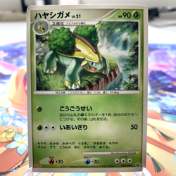 Grotle 034/DP-P Meiji Promo Japanese Pokemon Card ~ MP - Image 1