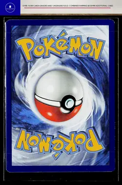 SWSH: Sword & Shield Promo Cards Morpeko #SWSH116 - Image 2