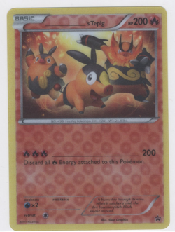 Used Pokemon Jumbo _____'s Tepig 3D Oversized Black Star Promo Free Shipping! - Image 1