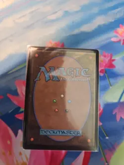 Sensei's Divining Top The List Reprints Regular - Image 2