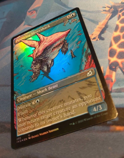 Pouncing Shoreshark FOIL Showcase - Ikoria: Lair of Behemoths - NM(see pics) MTG - Image 3