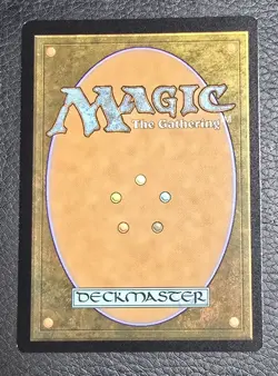 Hallowed Fountain (Borderless) Unfinity Foil MTG LP Magic Card - Image 2