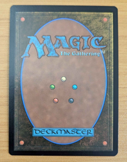 The Walls of Ba Sing Se Regular NM MTG - Image 2