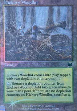 Mercadian Masques Hickory Woodlot - Image 1