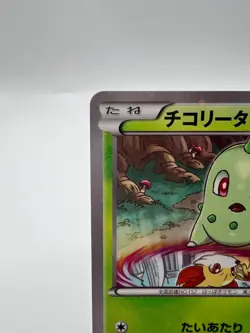 Pokemon Card Chikorita 222/XY-P Pokemon Center Promo 2016 Japanese - Image 2