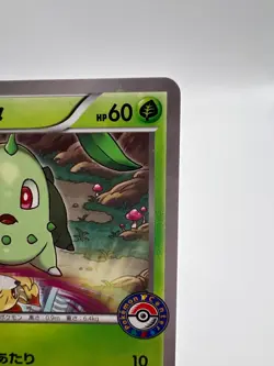 Pokemon Card Chikorita 222/XY-P Pokemon Center Promo 2016 Japanese - Image 3