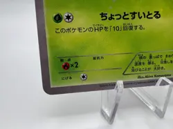 Pokemon Card Chikorita 222/XY-P Pokemon Center Promo 2016 Japanese - Image 4