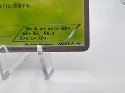 Pokemon Card Chikorita 222/XY-P Pokemon Center Promo 2016 Japanese - Image 5