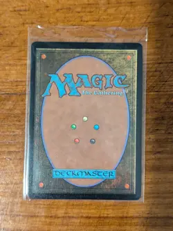 Paradise Chocobo Birds of Paradise (Borderless Foil) FINAL FANTASY P 0483 MTG NM - Image 2