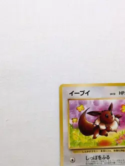 💎PACK FRESH Eevee #133 (51/64) Jungle Set Japanese Pokemon Card 1997 WOTC PSA - Image 3