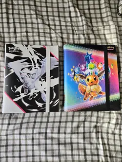 Pokemon Binders with En,JP,CH Lanugage Pokemon cards (Read Description) - Image 1