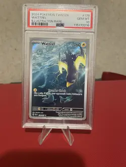 Wattrel IR 178/167 Twilight Masquerade Holo Pokemon PSA 10 - Image 1