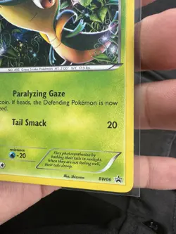 Snivy BW06 Black & White Black Star Promo holo- LP - Pokemon card TCG - Image 5