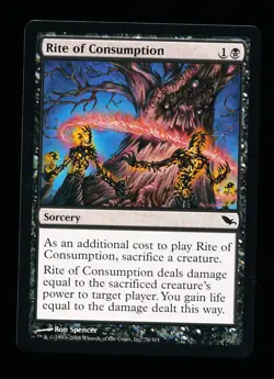 * * 1x Rite of Consumption x1 * * Shadowmoor MTG NM Near Mint - Image 1