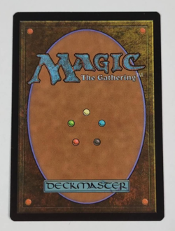 Champion of Lambholt 134/312 Commander Anthology Magic The Gathering MTG Card LP - Image 2