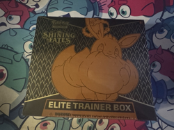 Pokemon TCG Shining Fates Elite Trainer Box. Brand New Factory Sealed. - Image 1
