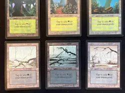 1993 MTG *Beta* Edition Complete basic land set. All 15 artworks at once! - Image 4