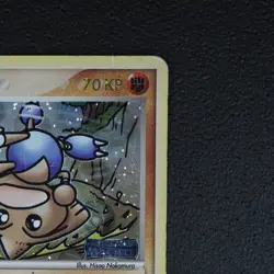 Kapoera - Hitmontop Pokemon Karte TCG 26/115 Holo EX Verborgene Machte /P35 - Image 4